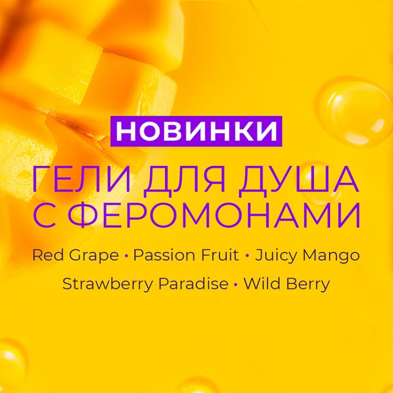 Представляем СУПЕР НОВИНКИ осени!